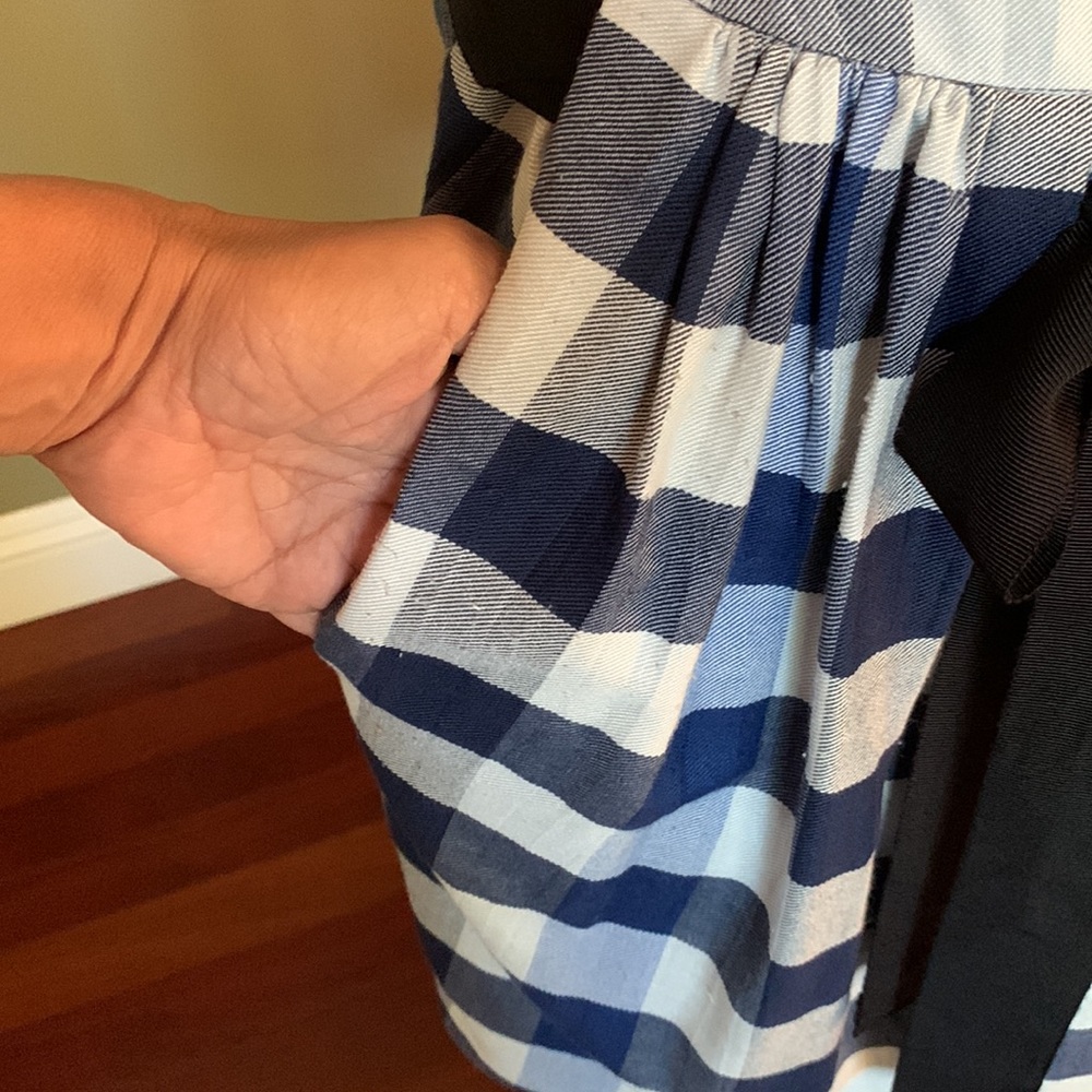 Blue and White Checkered Sleeveless Dress - Picture 3 of 10